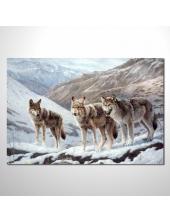 精緻動物 狼參考圖58 ☆本村的臨摹畫作皆是一筆一劃辛苦手繪而成 , 而非複印品。