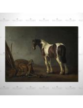 精緻動物 馬參考圖126 ☆純手繪、萬種油畫 , 總類齊全 , 適居家百業 , 物美價廉。