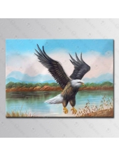 精緻動物 鷹參考圖158 ☆純手繪、陶大人油畫村, 客製畫的服務 , 為您量身製作您想要的圖面與尺寸 !