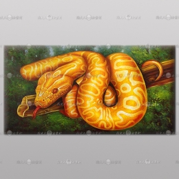 精緻動物 金蛇參考圖169 ☆純手繪、陶大人油畫村, 客製畫的服務 , 為您量身製作您想要的圖面與尺寸 !