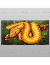 精緻動物 金蛇參考圖169 ☆純手繪、陶大人油畫村, 客製畫的服務 , 為您量身製作您想要的圖面與尺寸 !